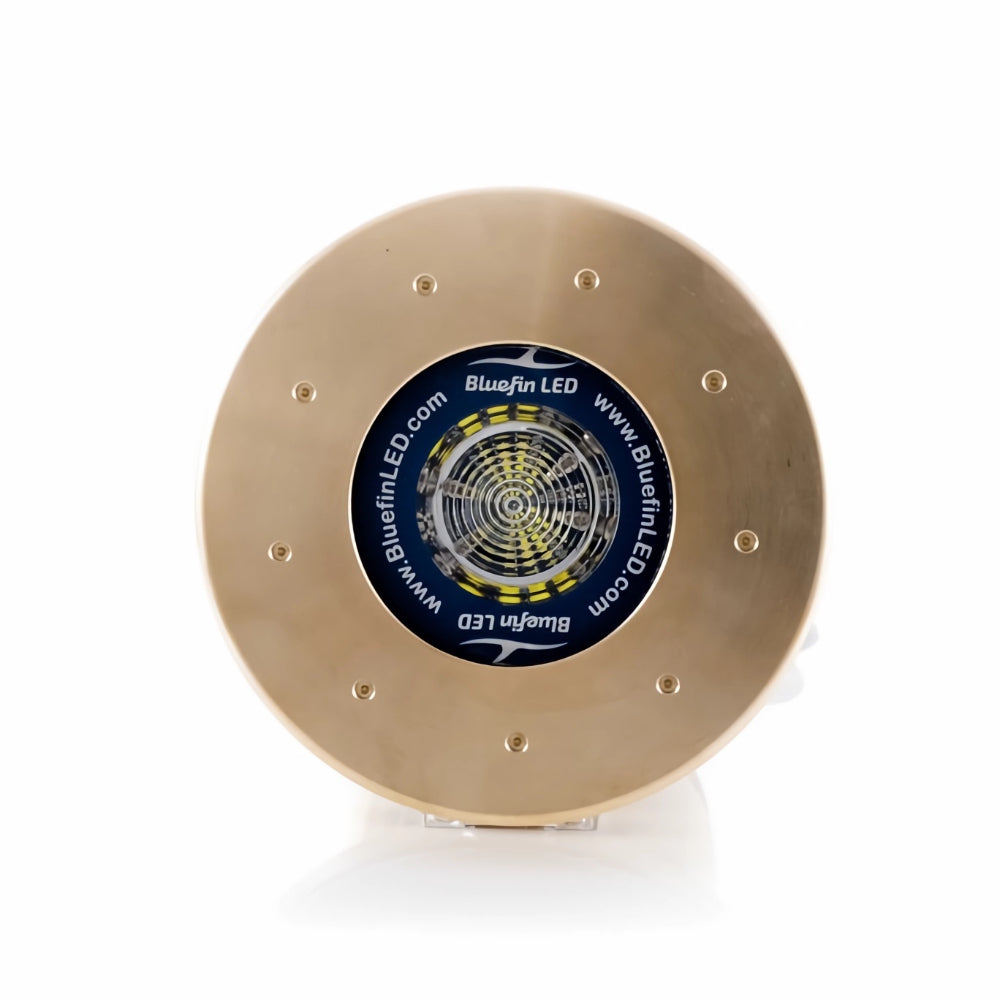 Bluefin LED Great White GW20 Flush Mount Light - Diamond White