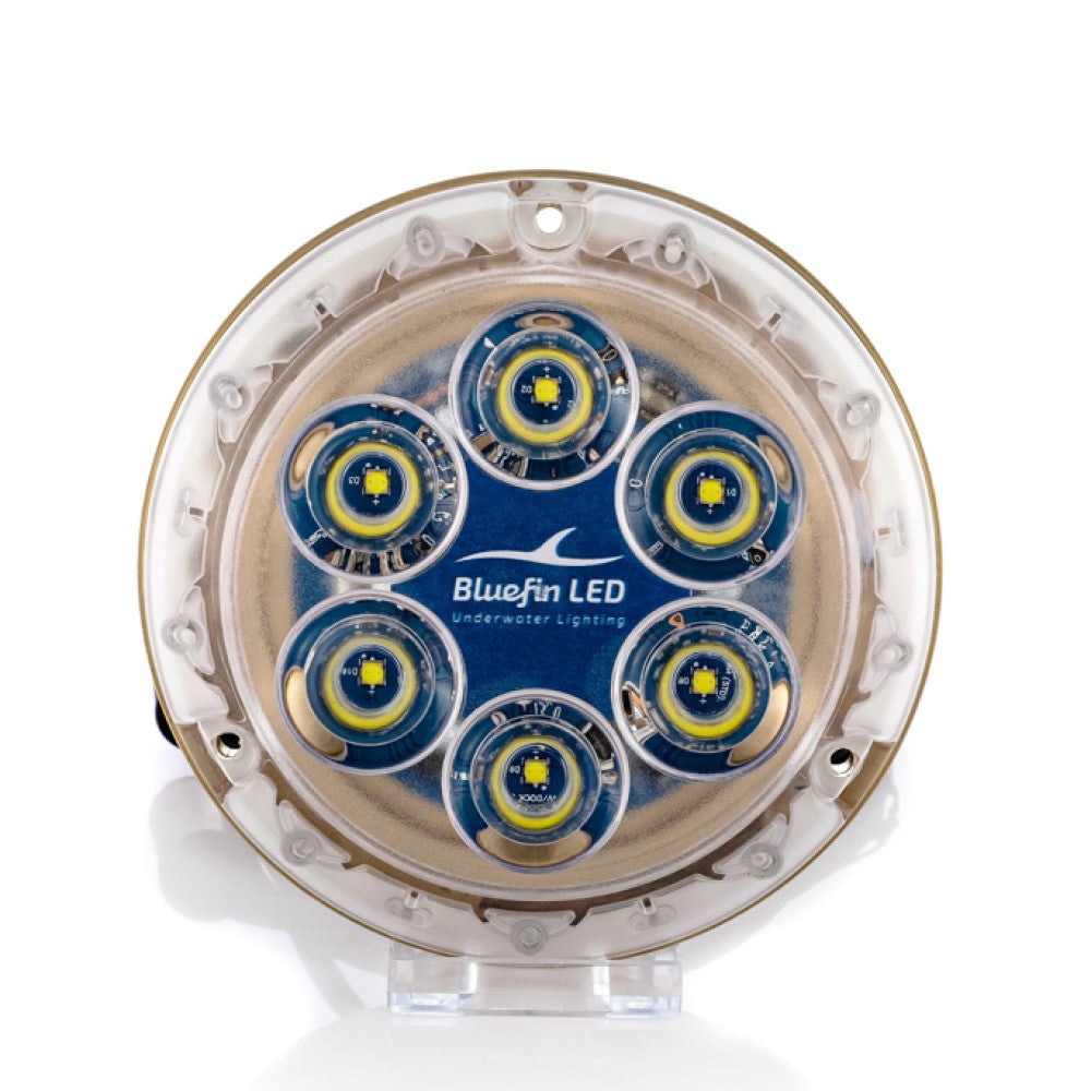 Bluefin LED Bronze Piranha P6 Nitro SM Light - 24V Cobalt Blue