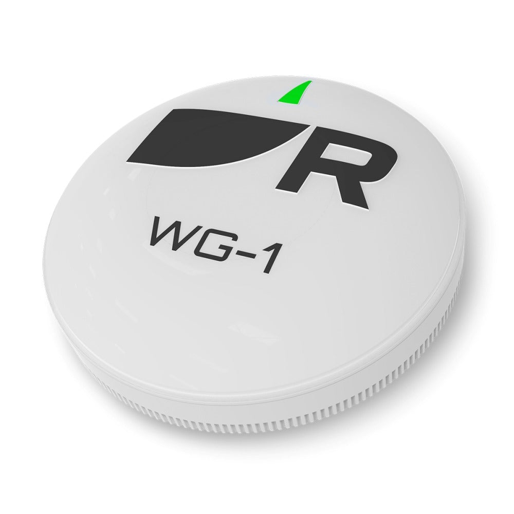 Raymarine WG-1 Wireless Gateway